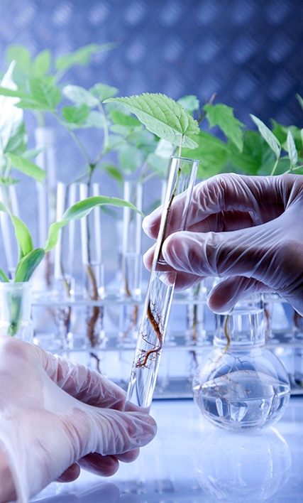 Careers in Agricultural Biotechnology