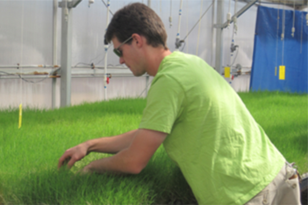 Greenhouse Technician