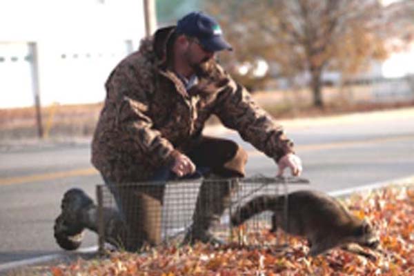 Wildlife Officer